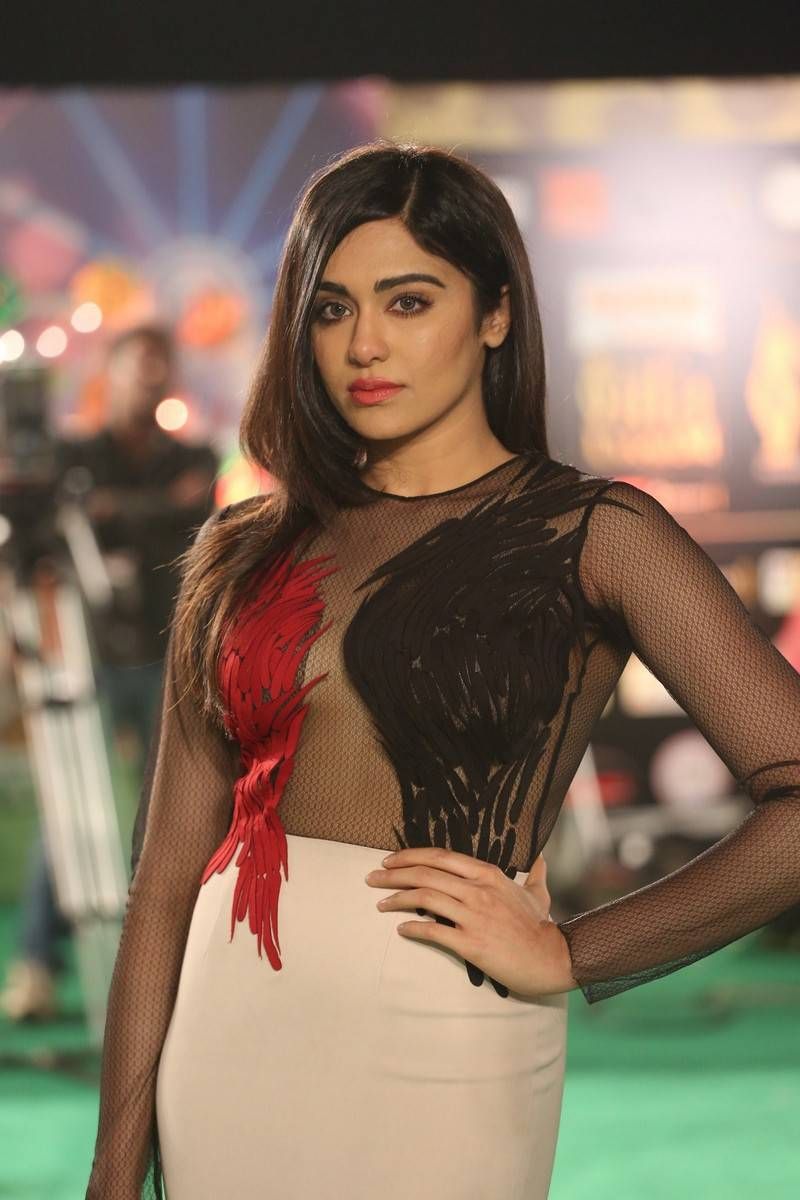 50 Adah Sharma Sexy Images And Latest Wallpapers Hd Indiatelugu