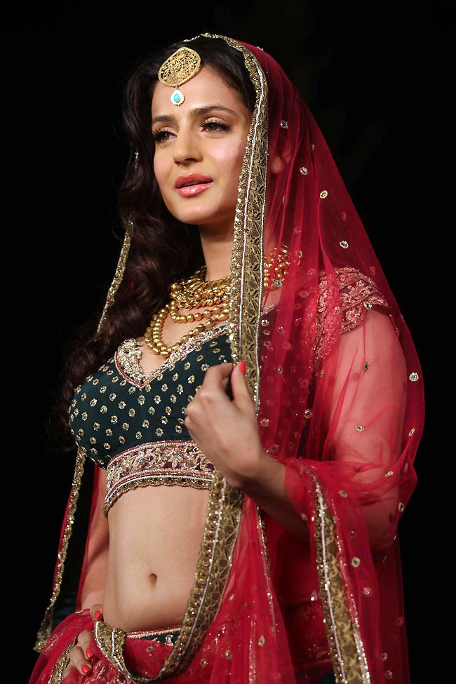 30+ Ameesha Patel Hot Images And Wallpapers HD ...
